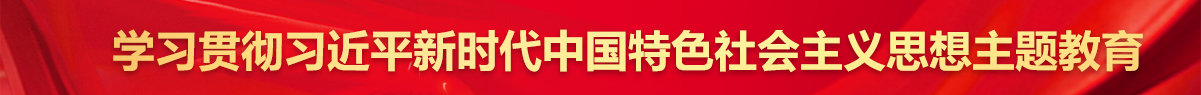 学习贯彻习近平新时代中国特色社会主义头脑主题教育